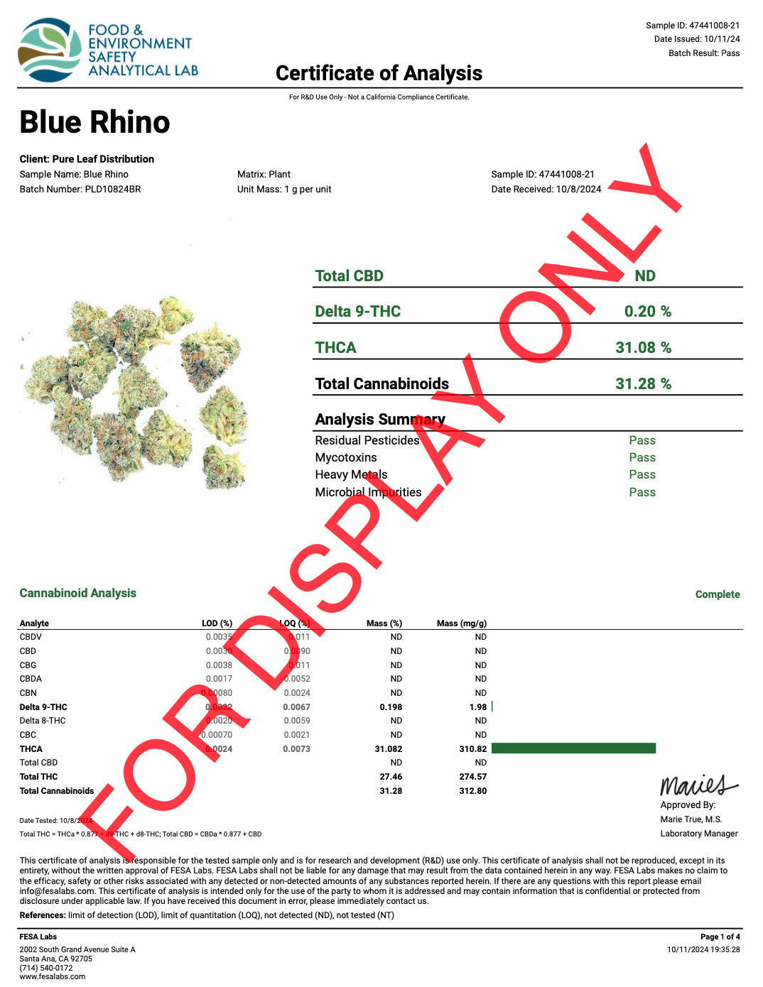 Blue Rhino
