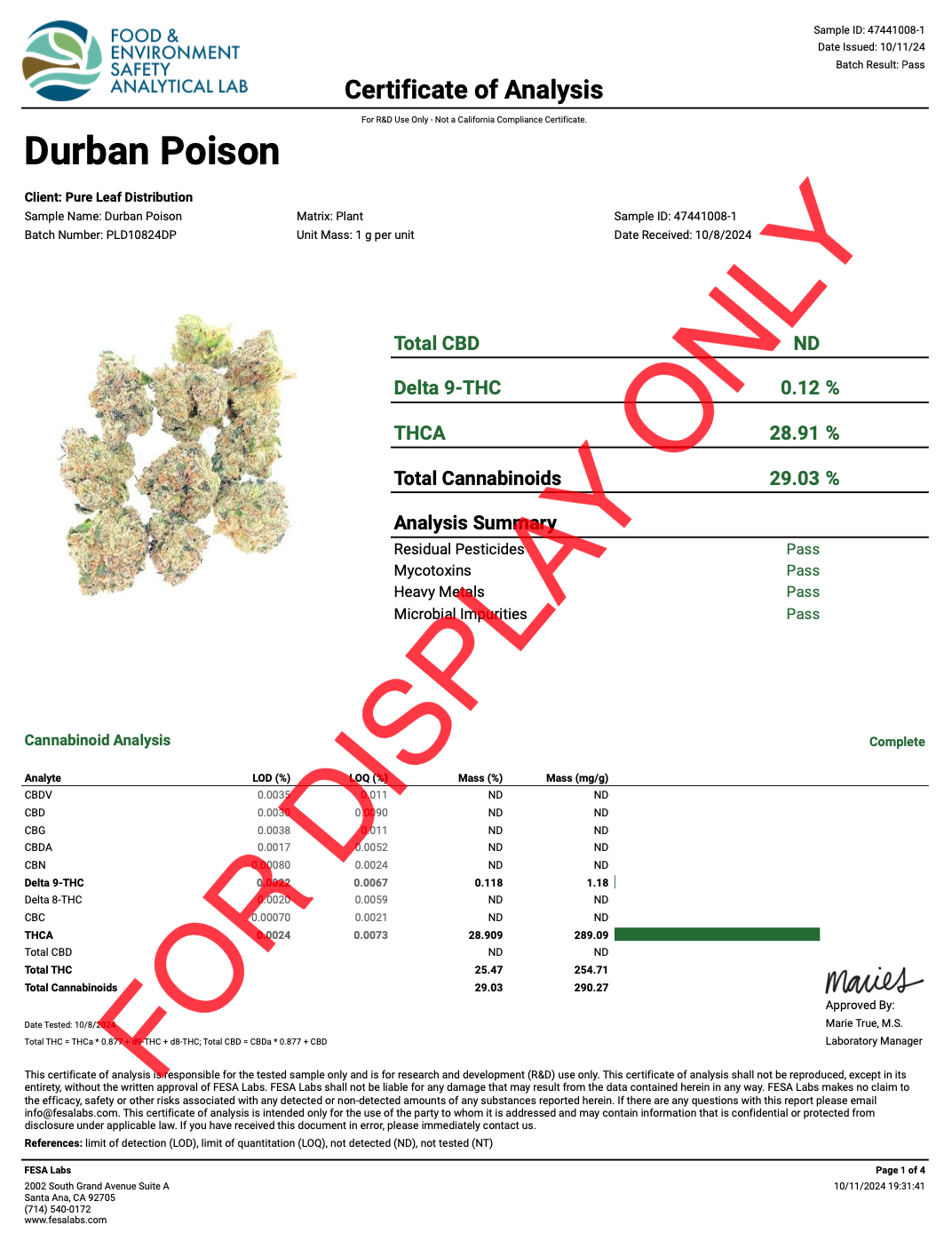Durban Poison
