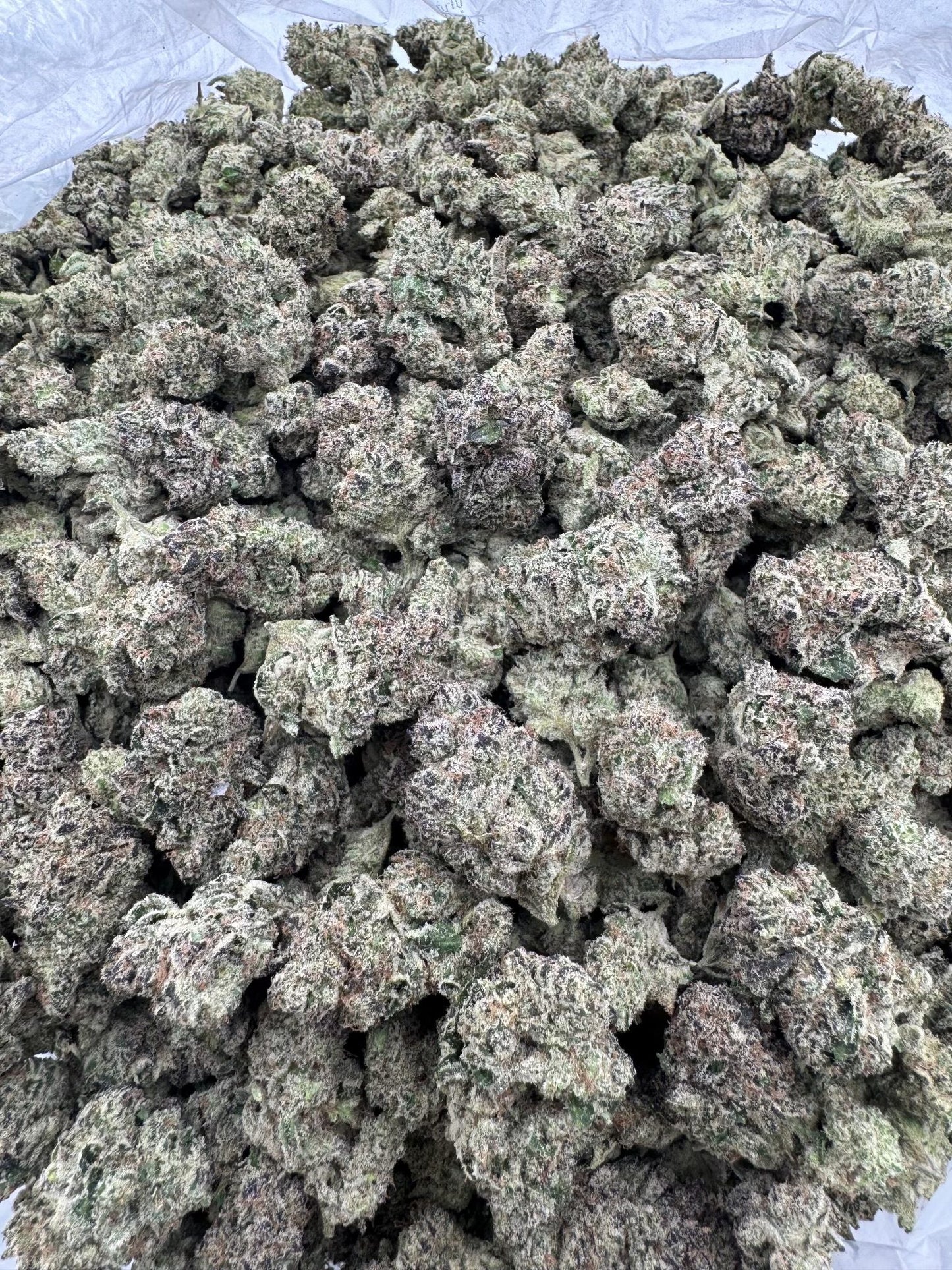 Gelato + Cream