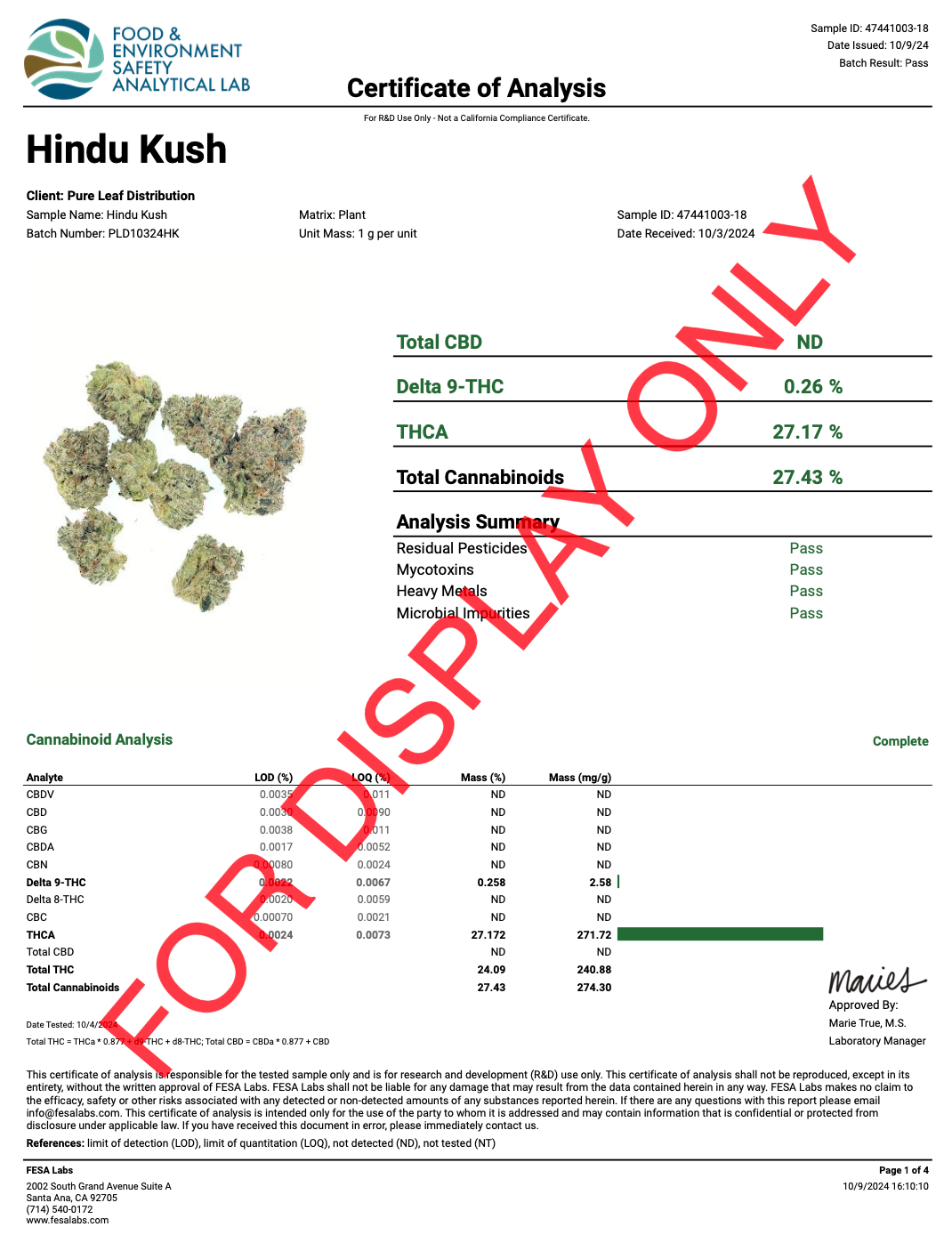 Hindu Kush