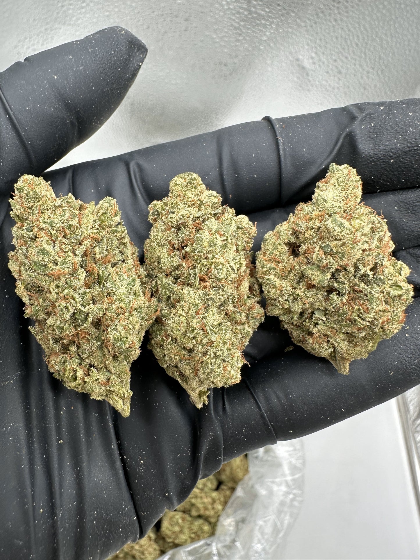 Tangie