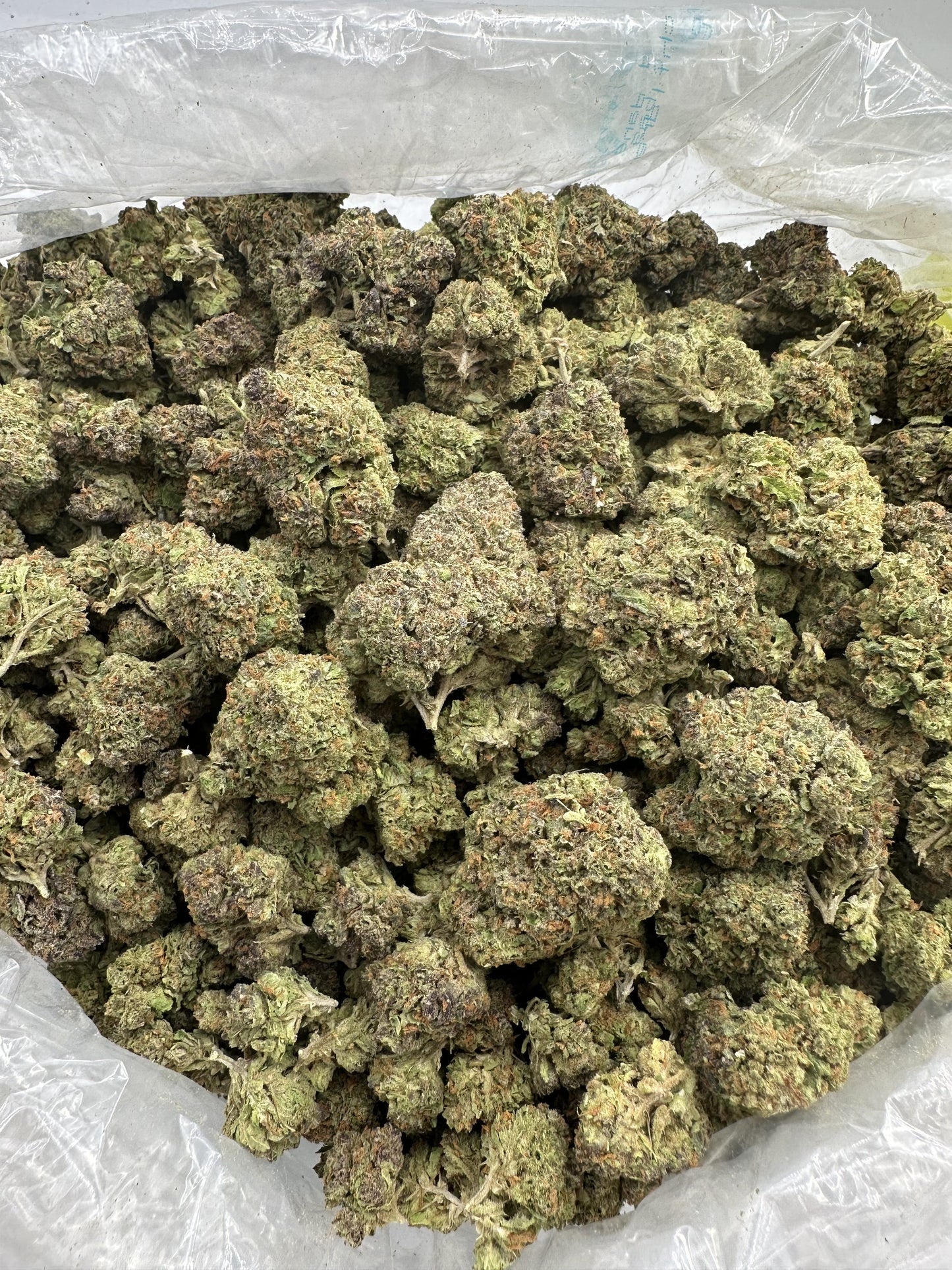 Acapulco Gold