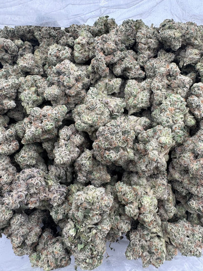 Afghan