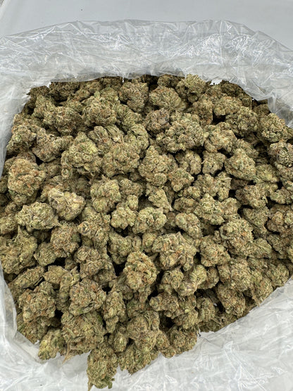 Alaskan Thunder Fuk