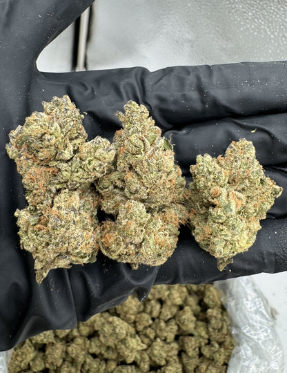Alaskan Thunder Fuk