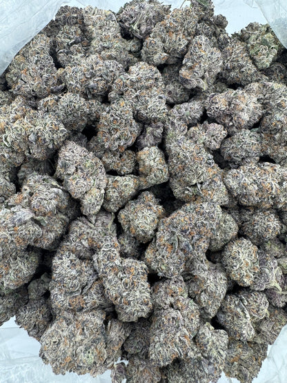 Blizzard Berry