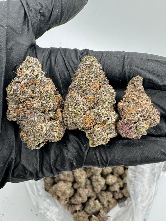 Blizzard Berry