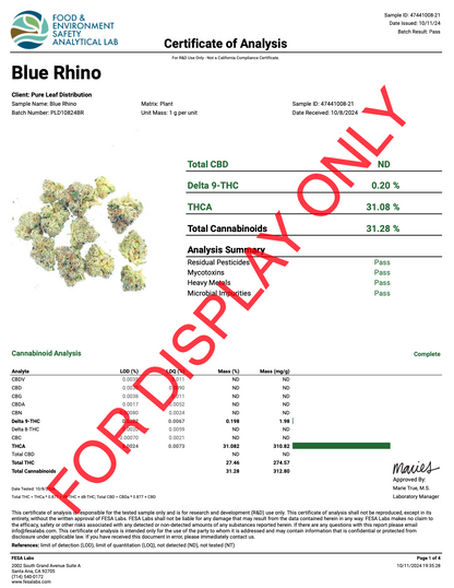 Blue Rhino