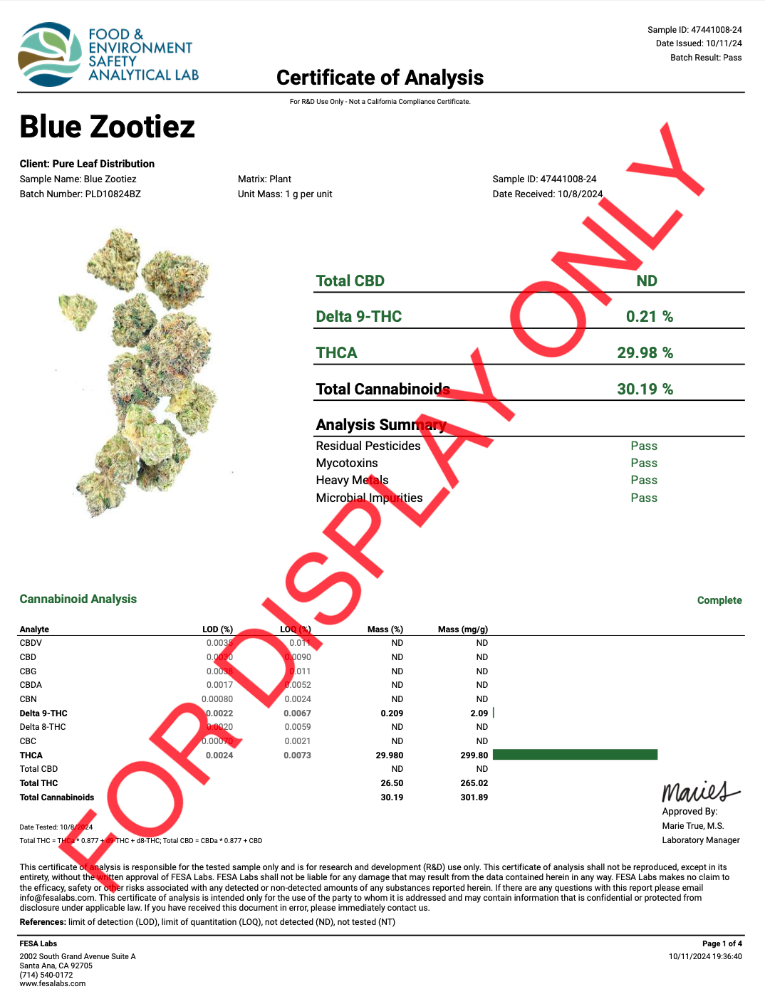 Blue Zooties