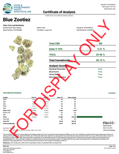 Blue Zooties