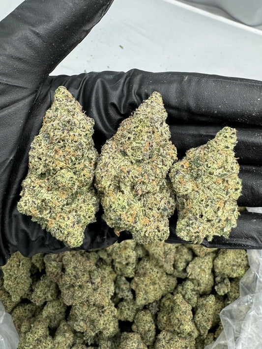 Blue Zooties