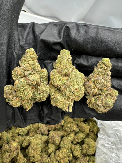 Durban Poison