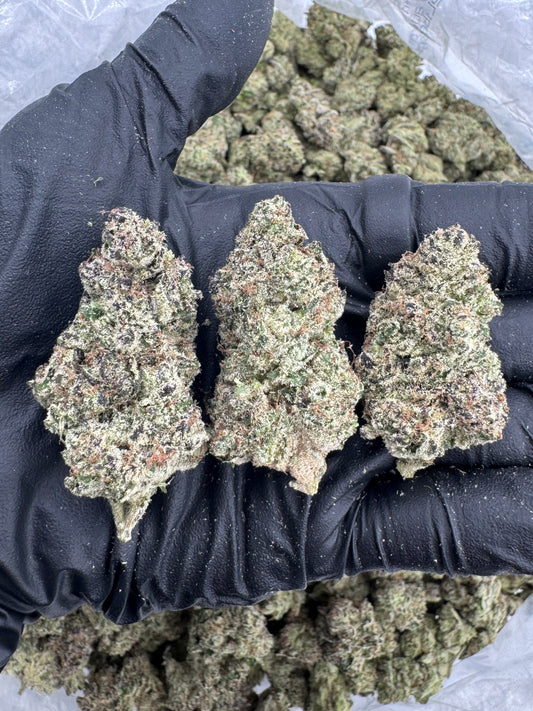 Gelato + Cream