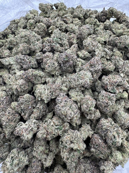 Gelato + Cream