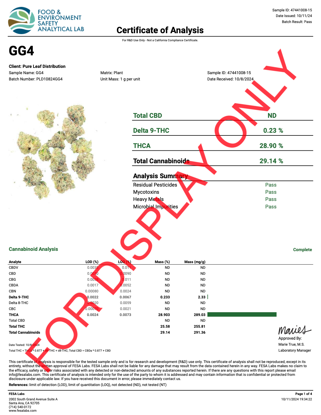 Gorilla Glue