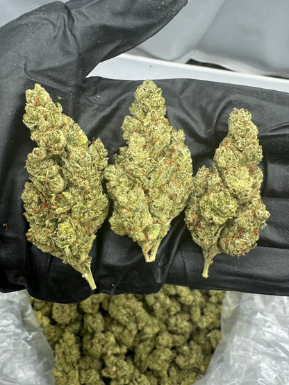 Gorilla Glue