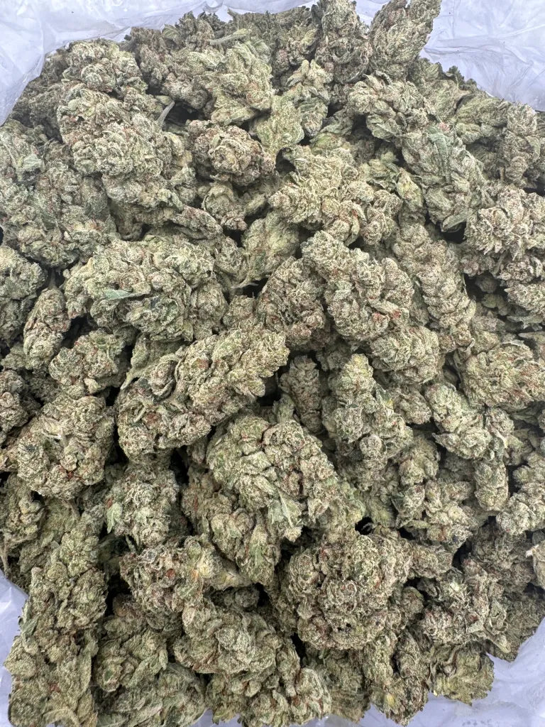 Gorilla Glue
