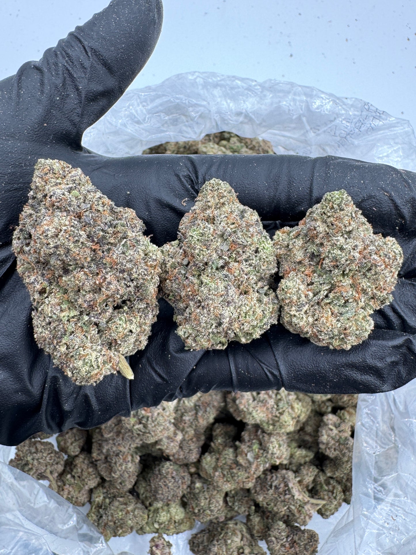 GMZ