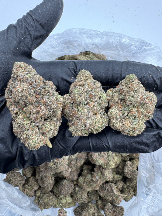 GMZ