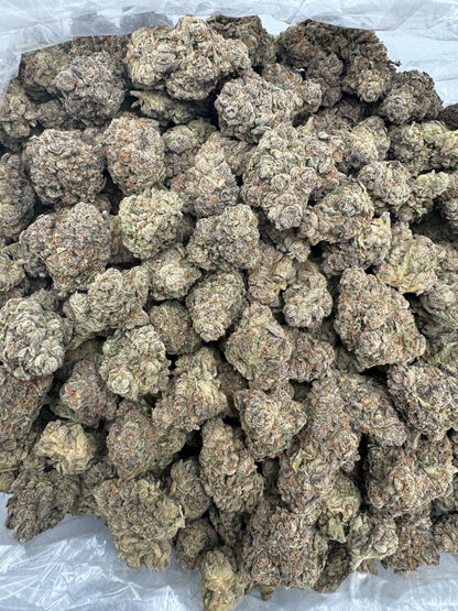 Hindu Kush