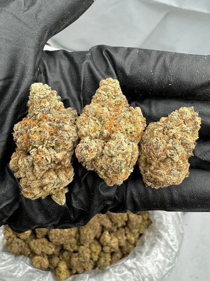 Hindu Kush