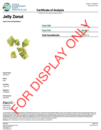 Jelly Zonut