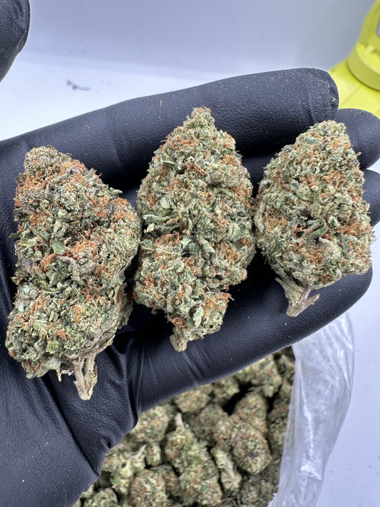 Jet Fuel
