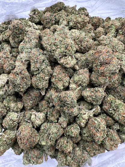 Jet Fuel