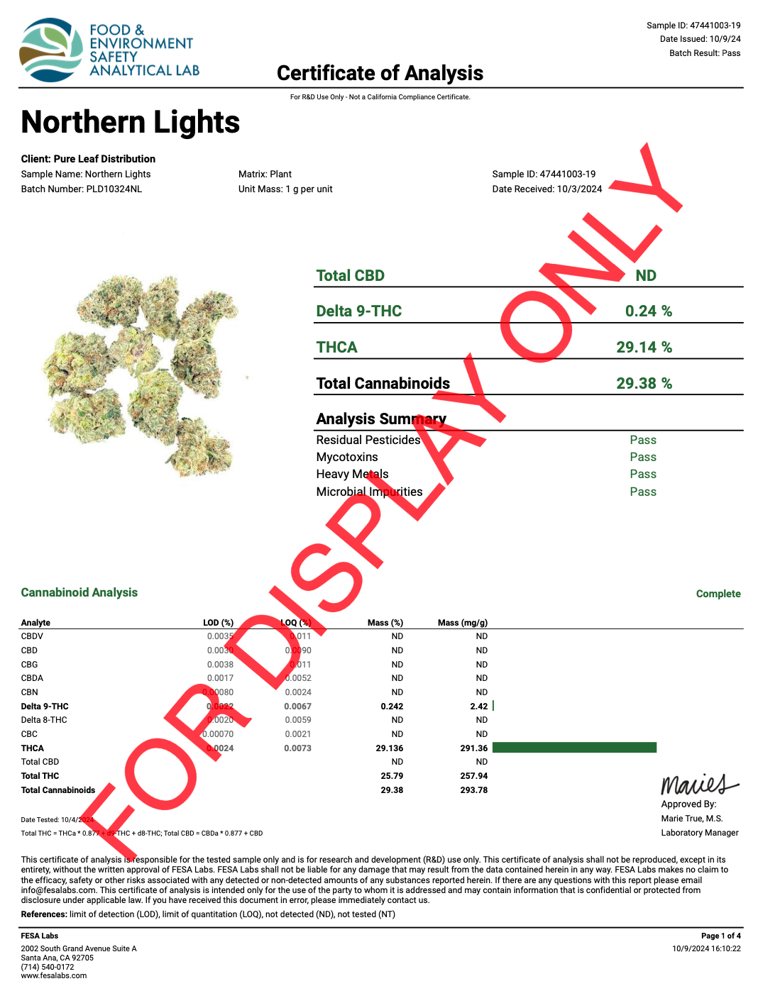 Northern Lights