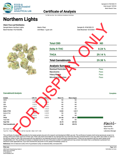 Northern Lights