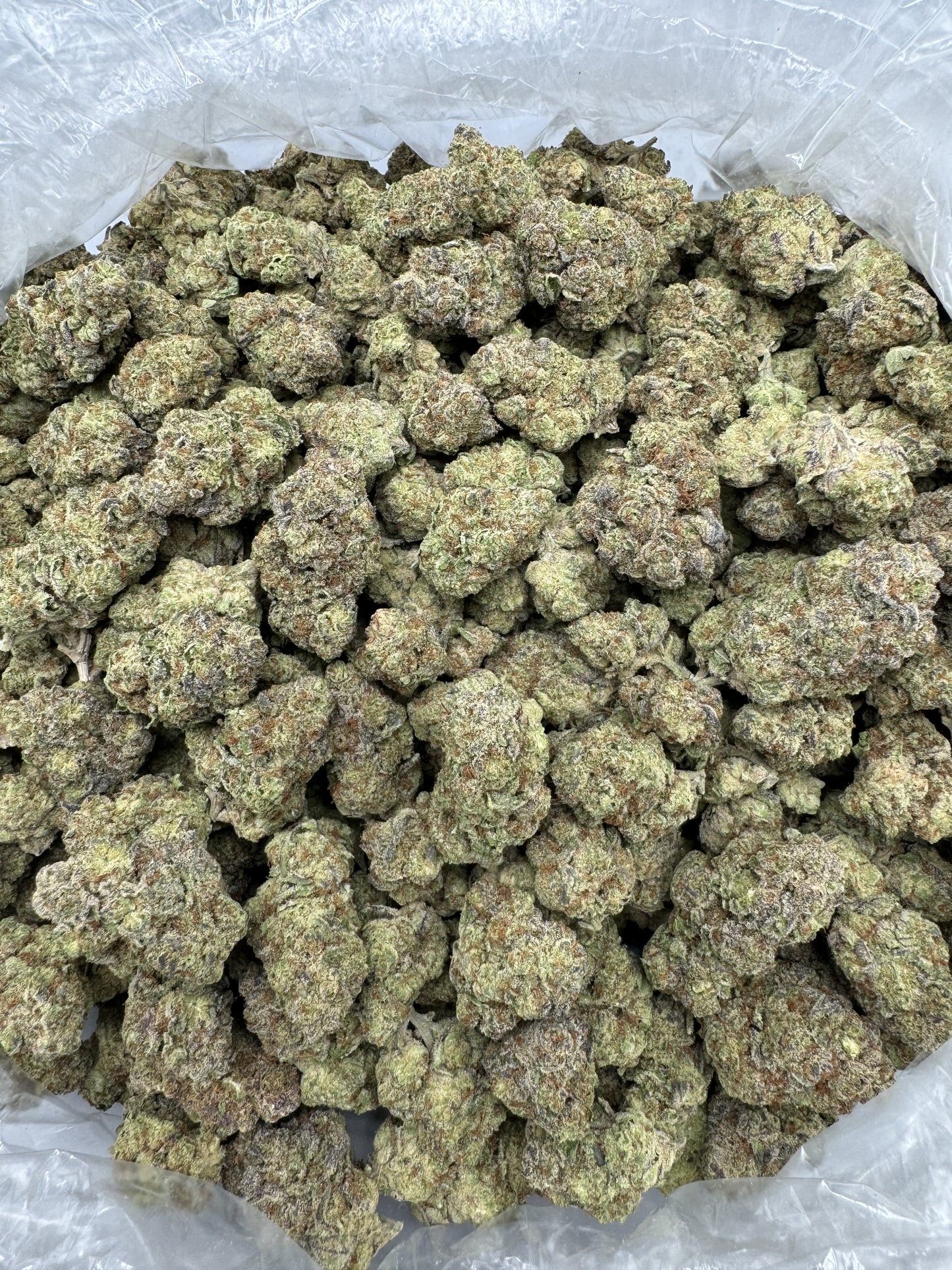Northern Lights