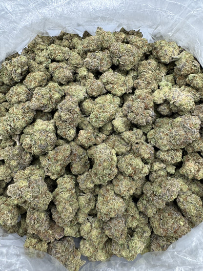 Northern Lights