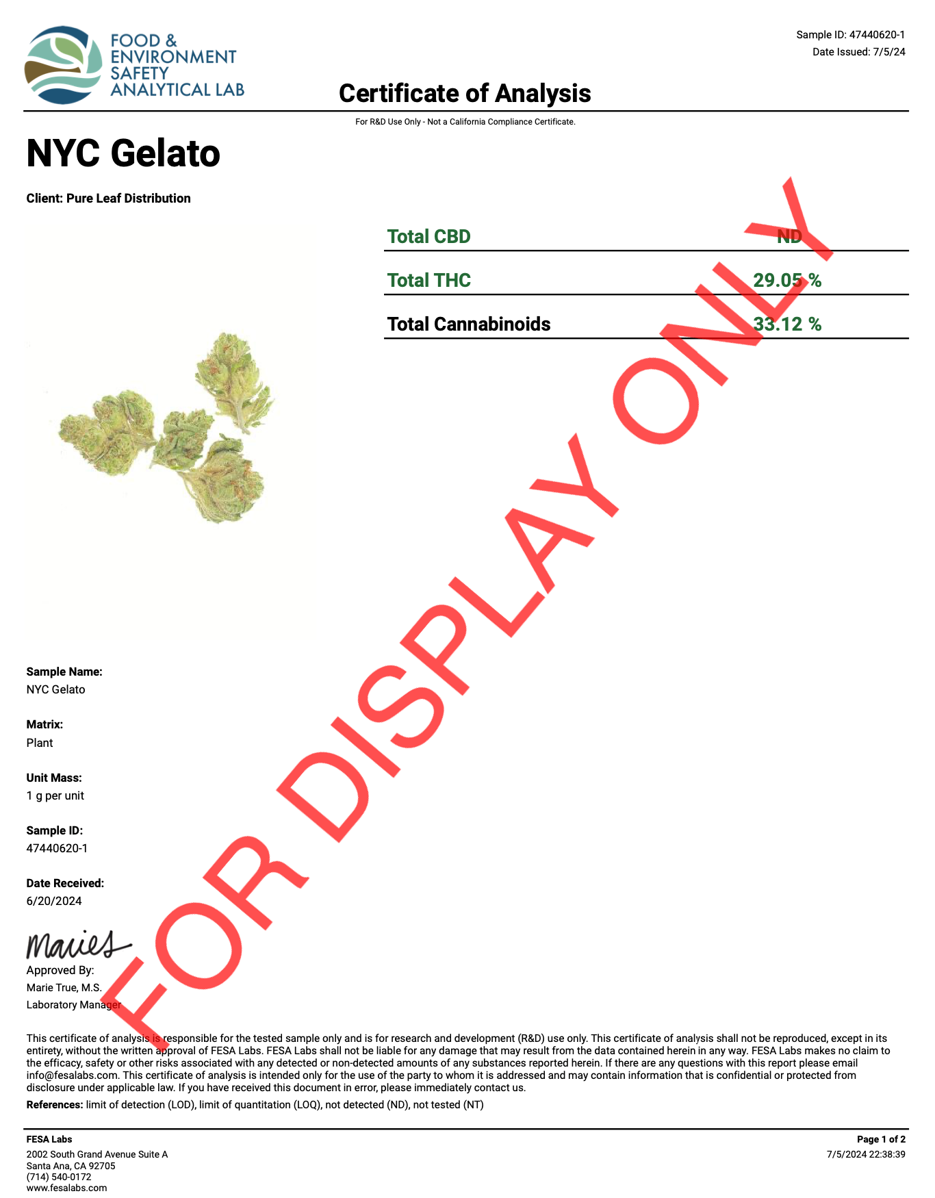 NYC Gelato