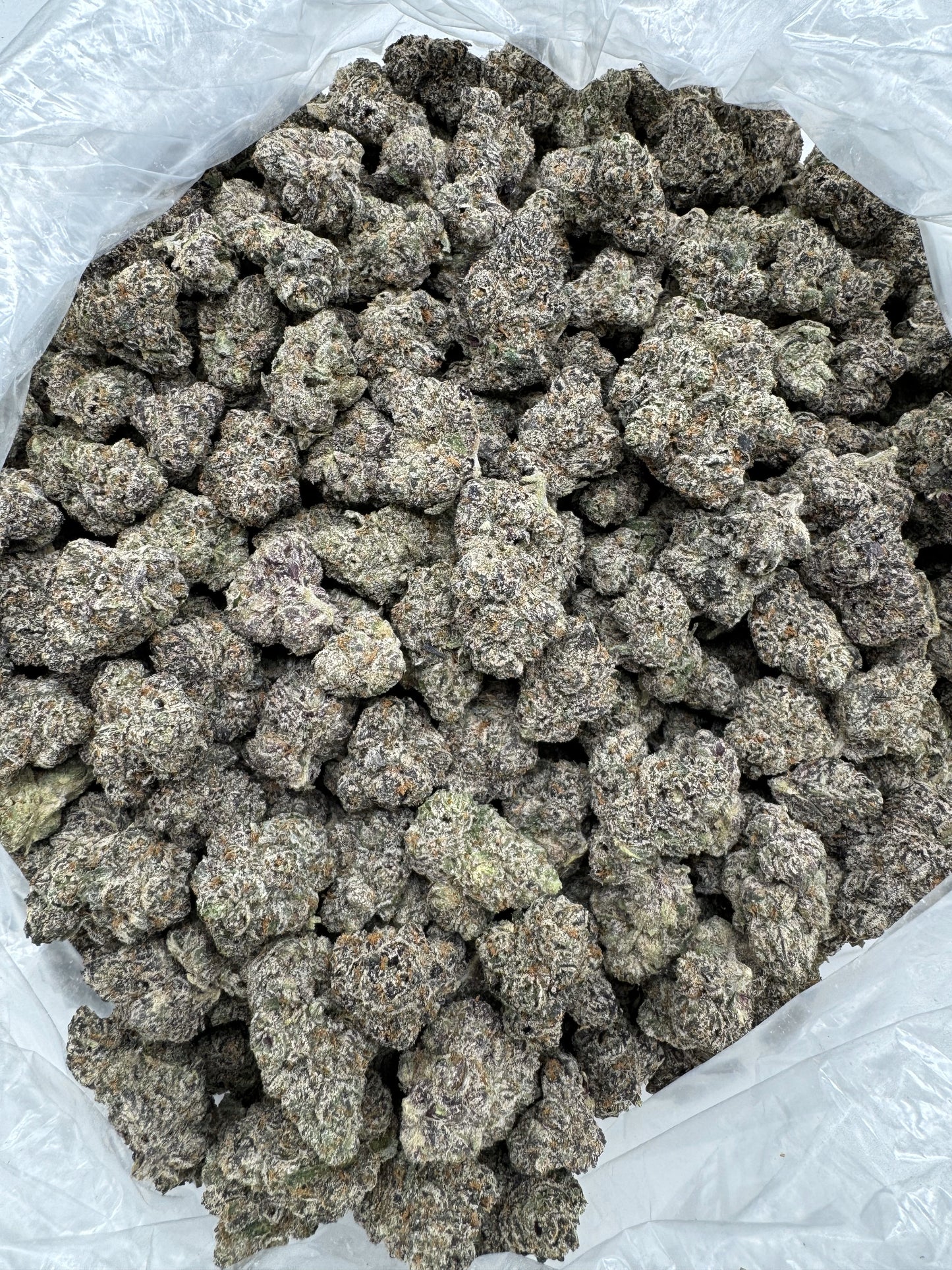 NYC Gelato