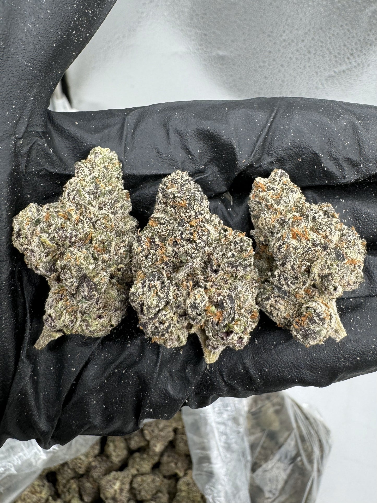 NYC Gelato