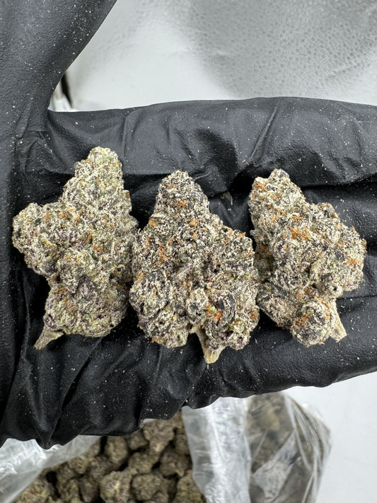 NYC Gelato