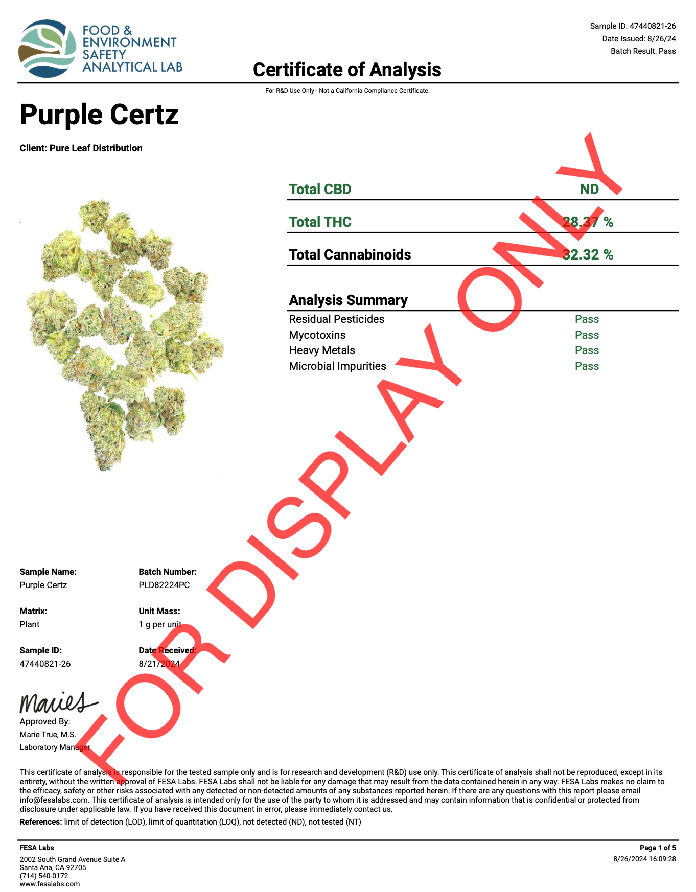 Purple Certz