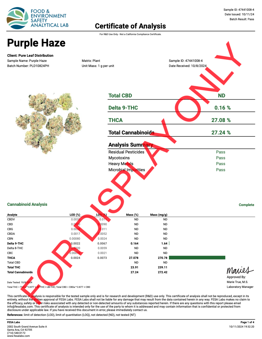 Purple Haze