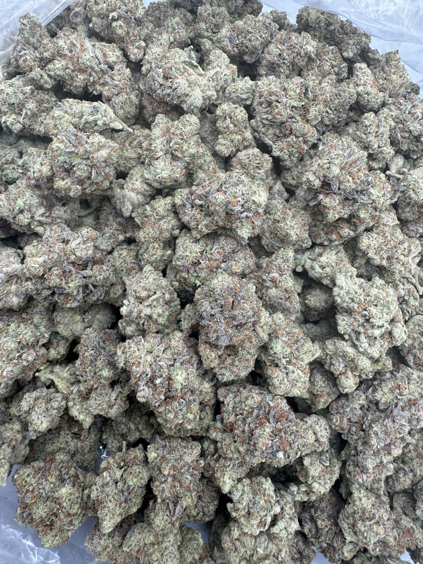 Purple Haze