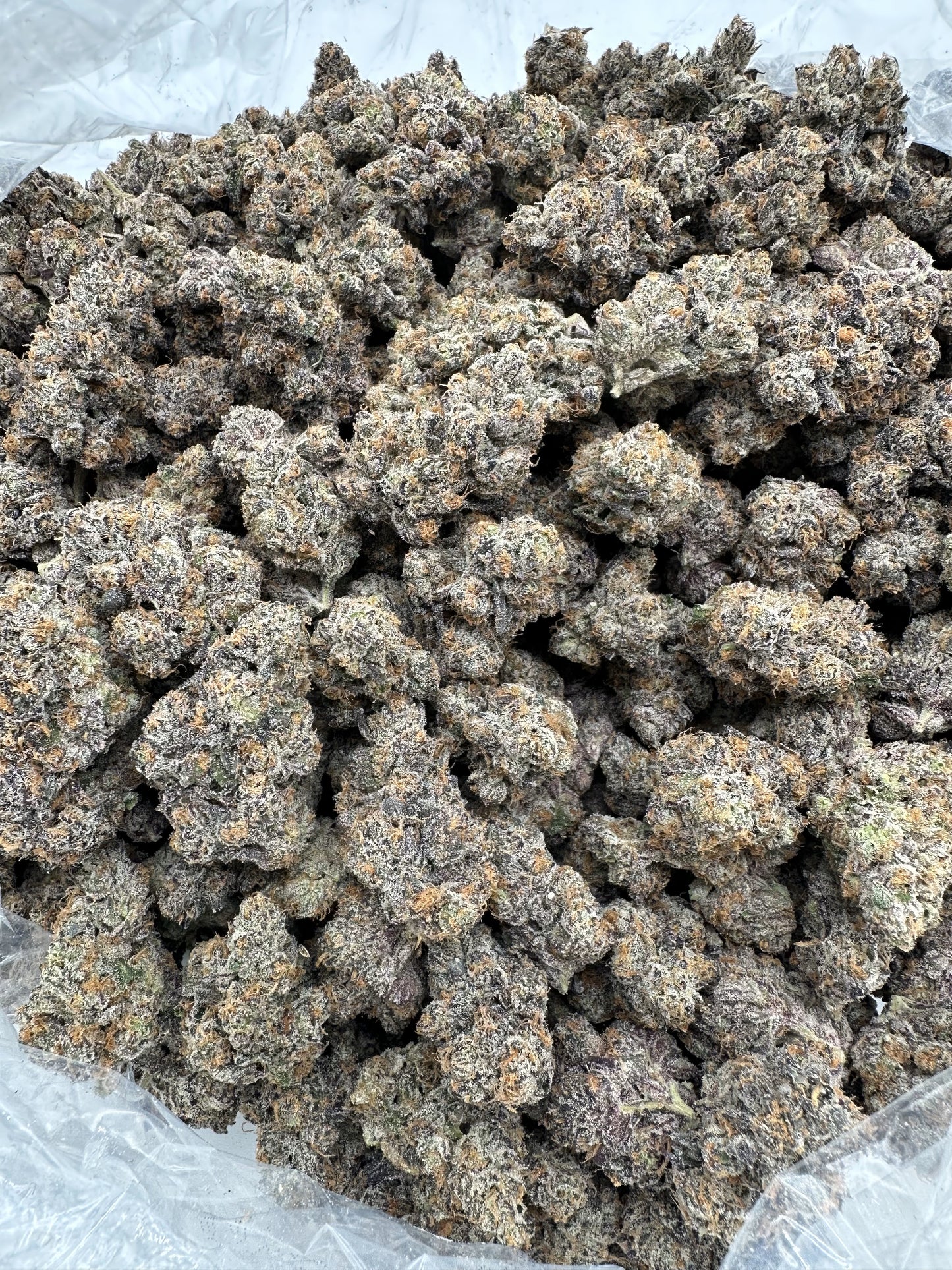 Purple Certz