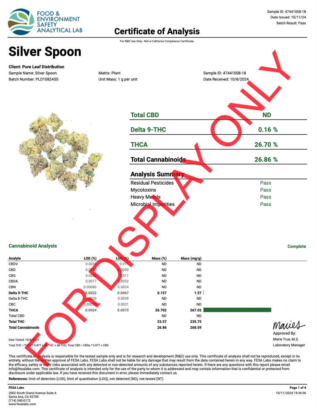 Silver Spoon