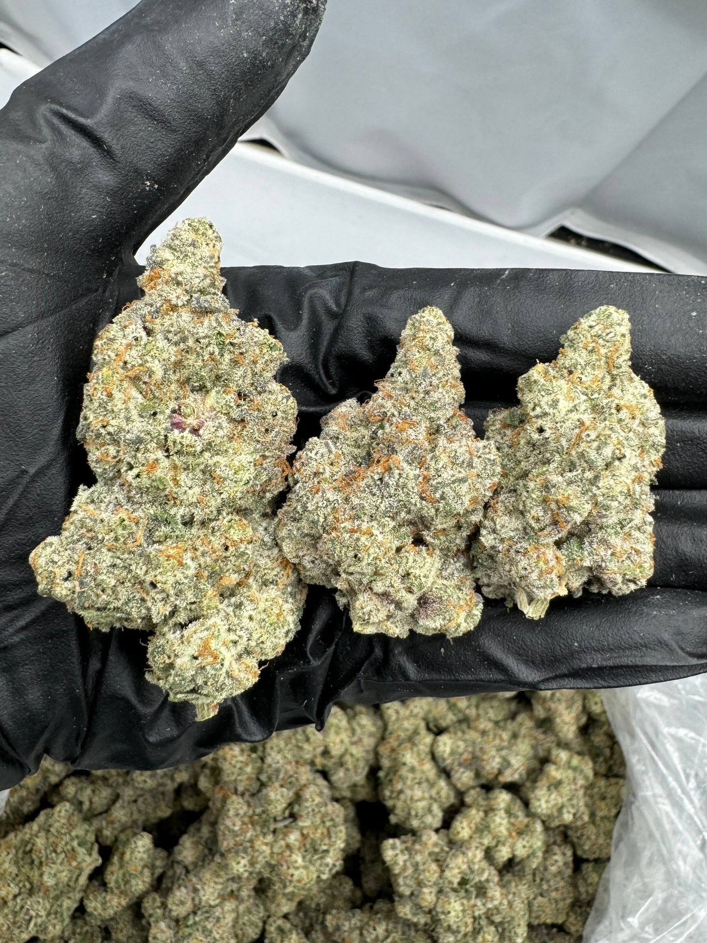 Silver Spoon