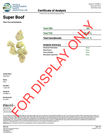 Super Boof