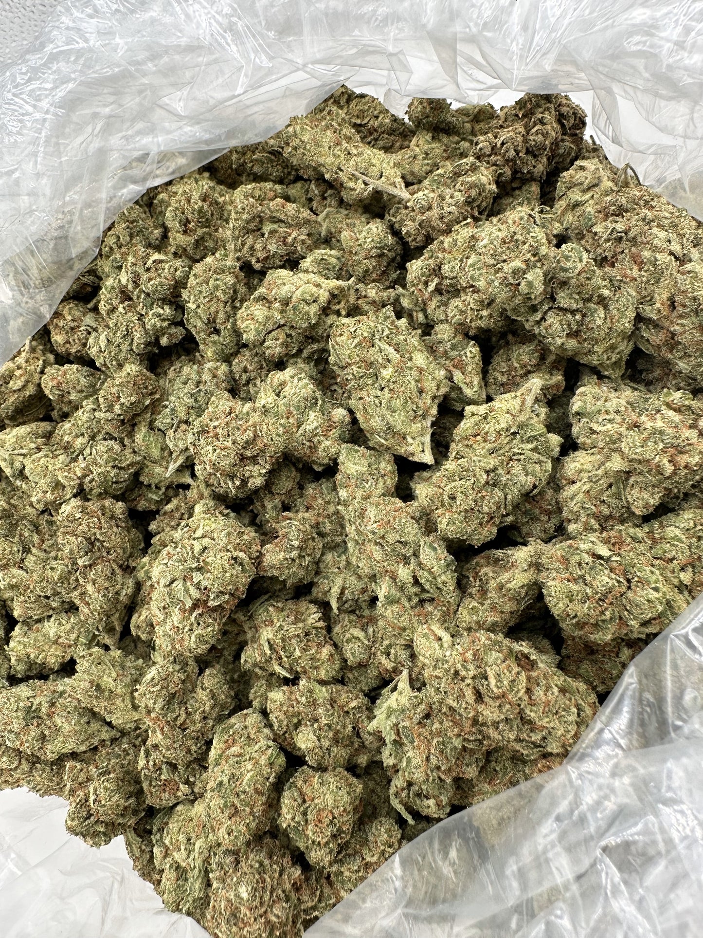 Tangie