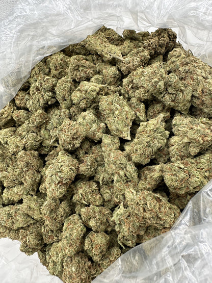 Tangie