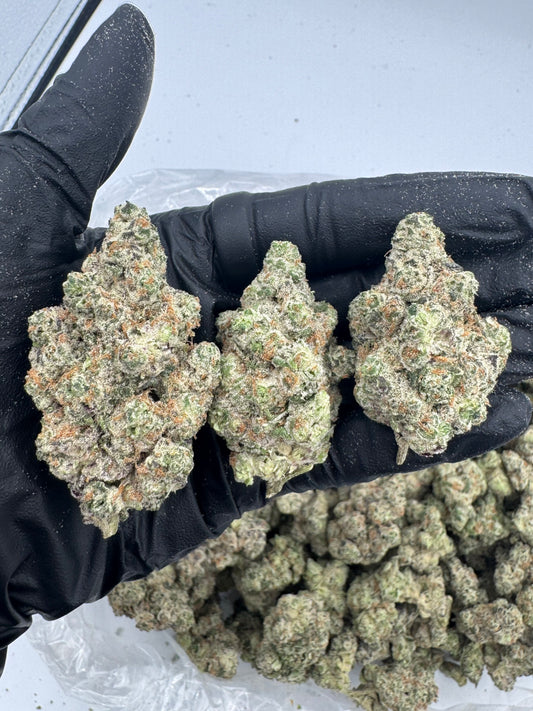 Afghan